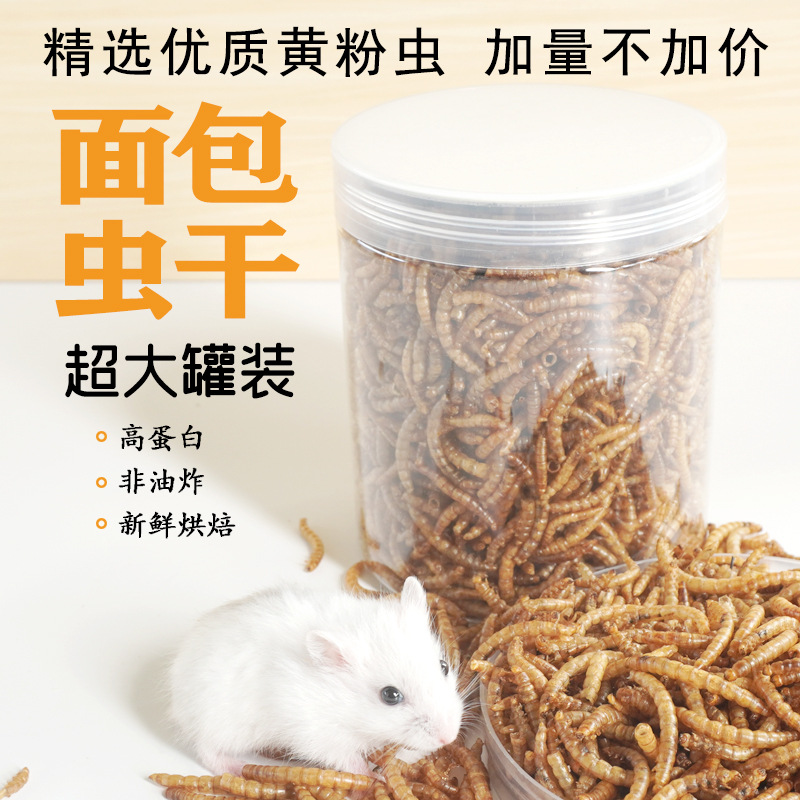 High-Protein Snacks Hamster Fo - đánh giá và giá Food And Snacks High In Protein